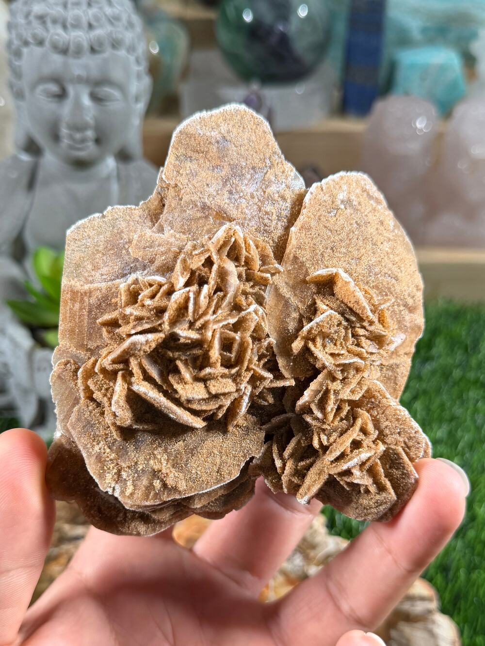 🌹 UV Reactive Desert Rose Selenite Cluster 🌹